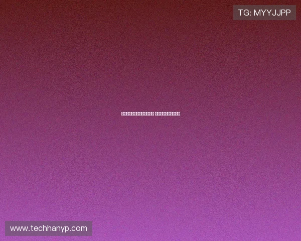 高效装备整理技巧与方法揭秘 让你的物品归类更有序