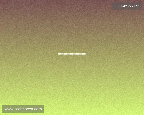 云达不来梅新赛季展望：重建之路与年轻球员的崛起